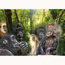 ZOO GREETING CARD I'm a Ape